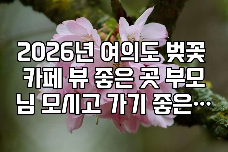 2026년 여의도 벚꽃 카페 뷰 좋은 곳 부모님 모시고 가기 좋은 소파석