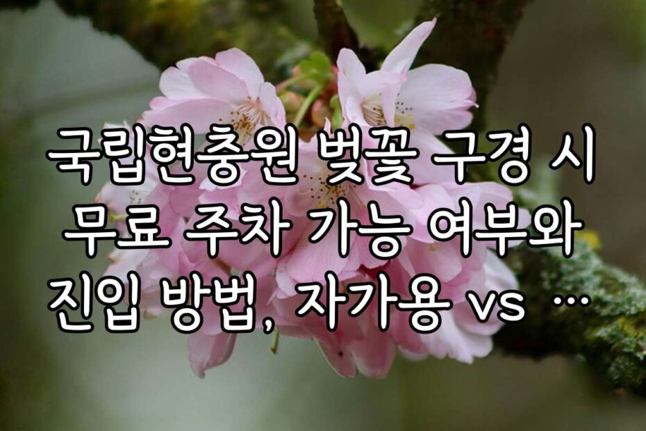 국립현충원 벚꽃 구경 시 무료 주차 가능 여부와 진입 방법, 자가용 vs 대중교통 비교