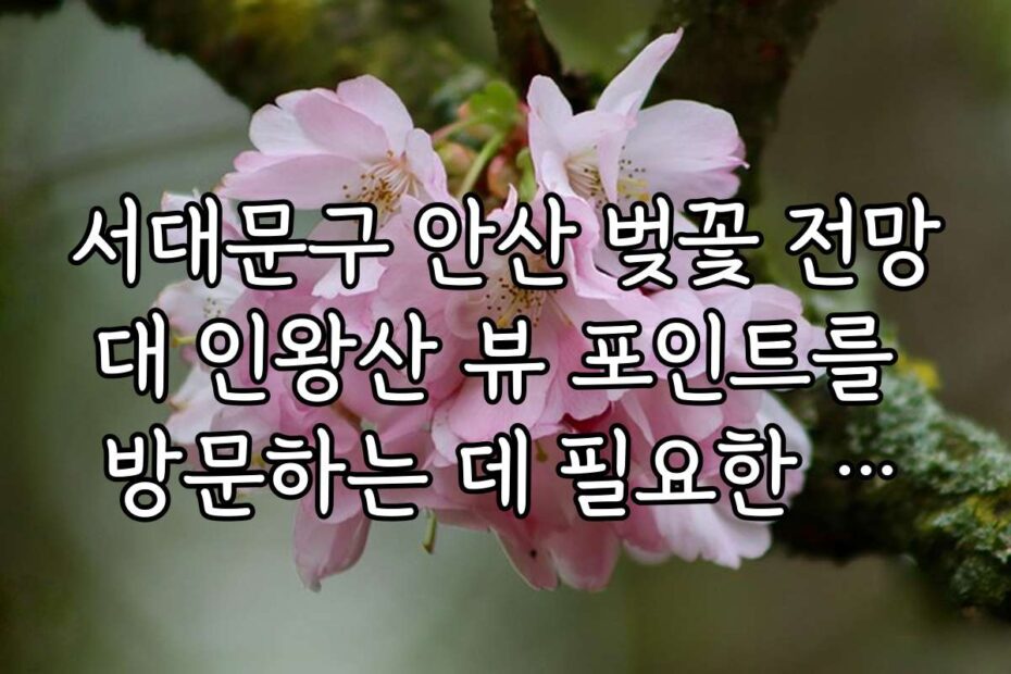 서대문구 안산 벚꽃 전망대 인왕산 뷰 포인트를 방문하는 데 필요한 준비물과 체크리스트를 알아보자