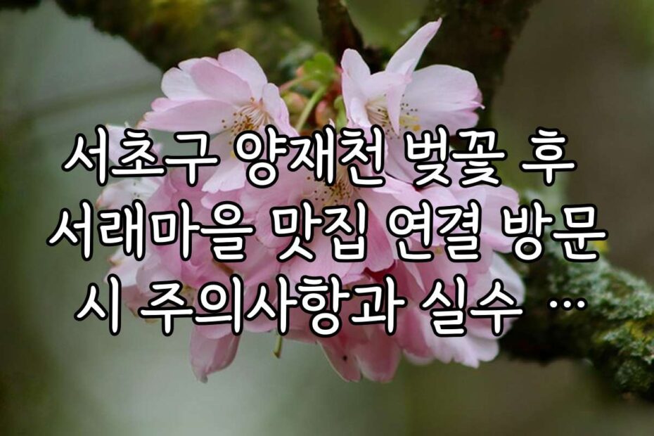 서초구 양재천 벚꽃 후 서래마을 맛집 연결 방문 시 주의사항과 실수 방지 팁