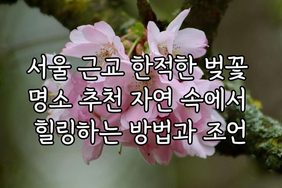 서울 근교 한적한 벚꽃 명소 추천 자연 속에서 힐링하는 방법과 조언