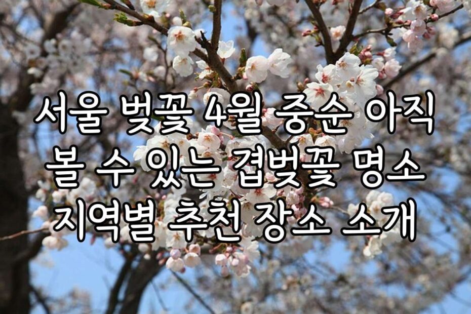 서울 벚꽃 4월 중순 아직 볼 수 있는 겹벚꽃 명소 지역별 추천 장소 소개