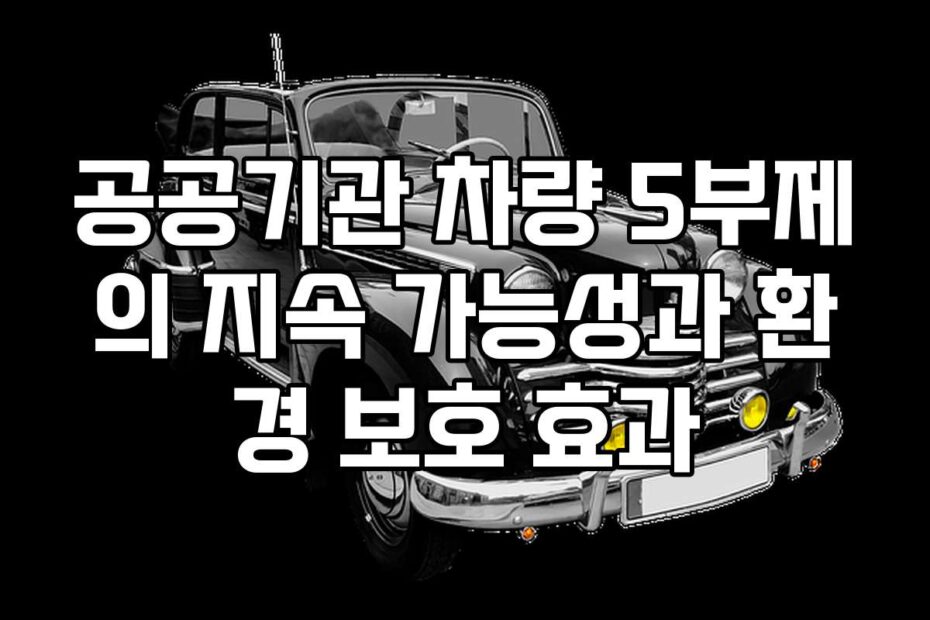공공기관 차량 5부제의 지속 가능성과 환경 보호 효과