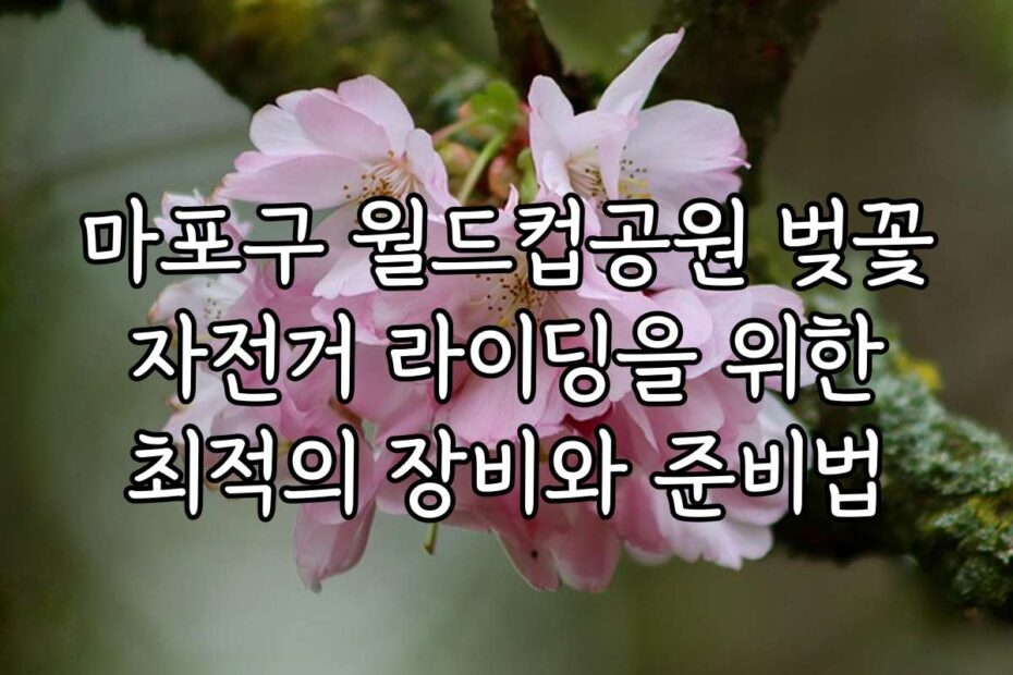 마포구 월드컵공원 벚꽃 자전거 라이딩을 위한 최적의 장비와 준비법