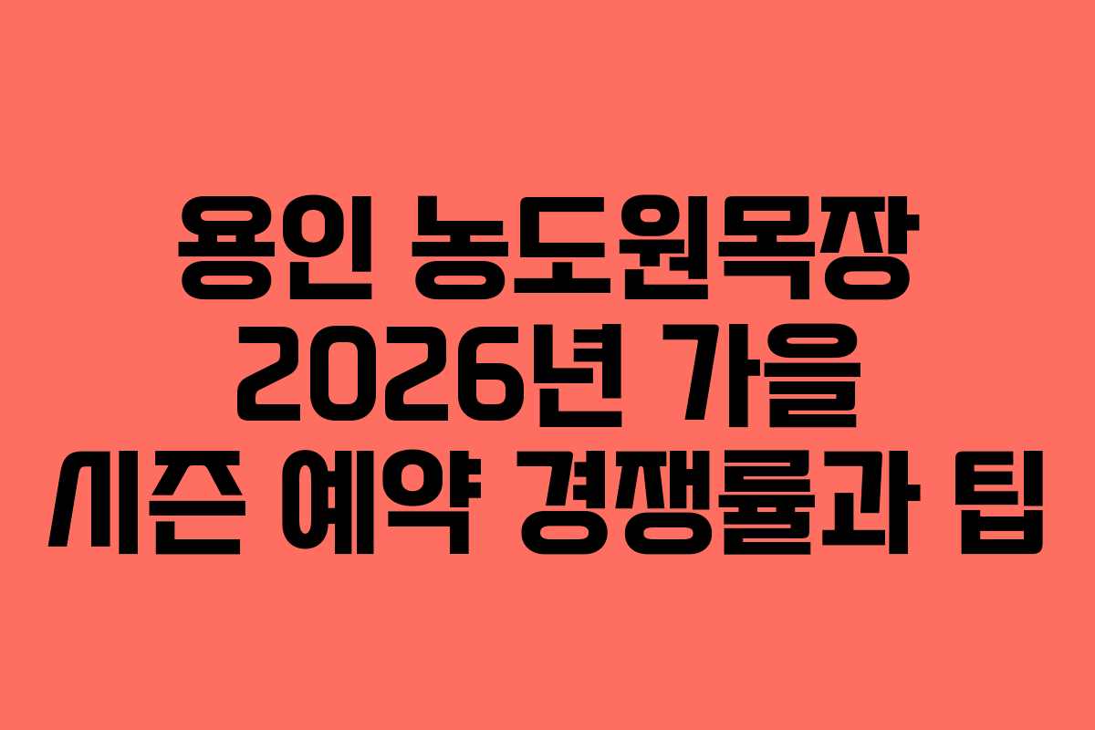 용인 농도원목장 2026년 가을 시즌 예약 경쟁률과 팁