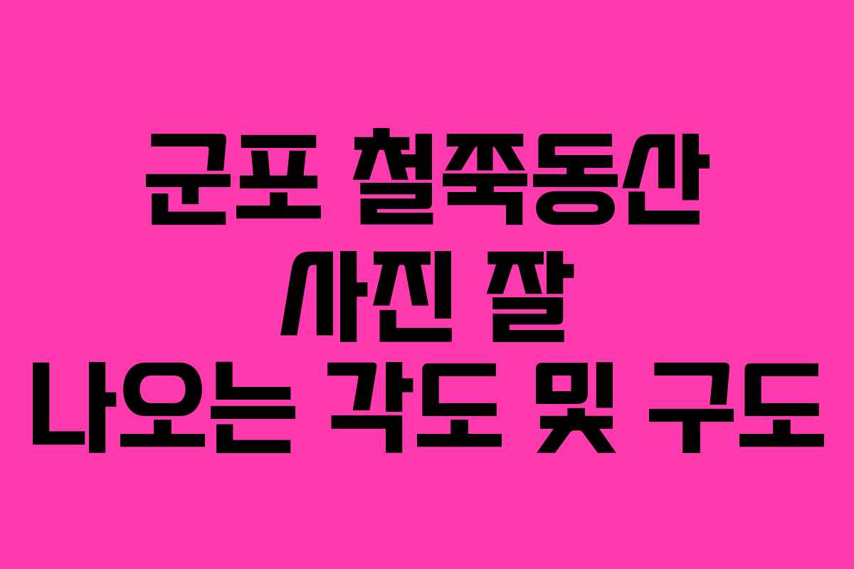 군포 철쭉동산 사진 잘 나오는 각도 및 구도