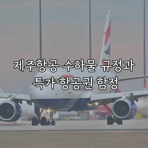 제주항공 수하물 규정과 특가 항공권 함정